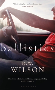 Ballistics cover